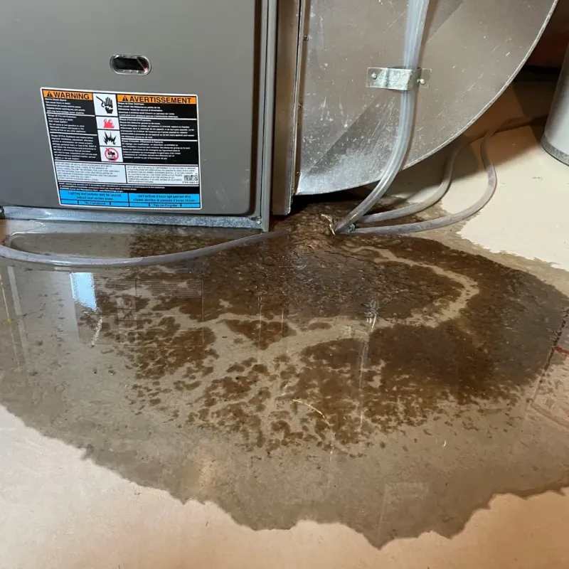 Appliance Leak Cleanup in Inverness, AL